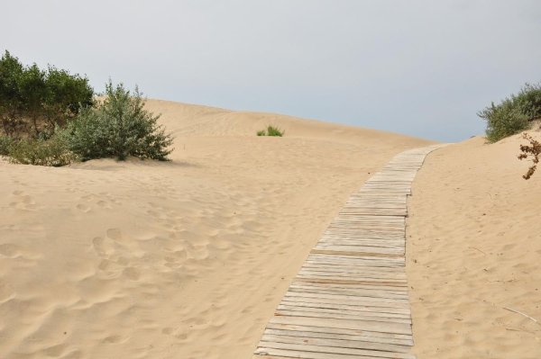 Дюны Джемете Анапа пляж