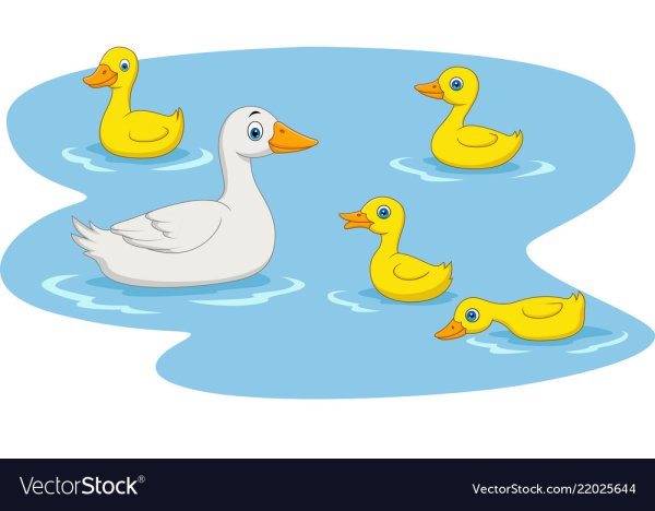 Озеро с утками на белом фоне