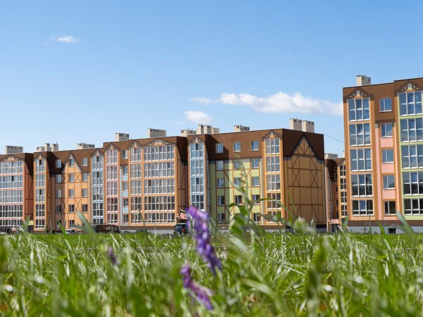 Район Кошелев Калуга