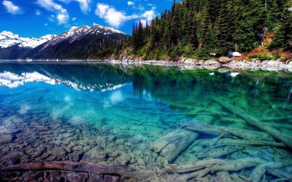 Озеро клир Лейк