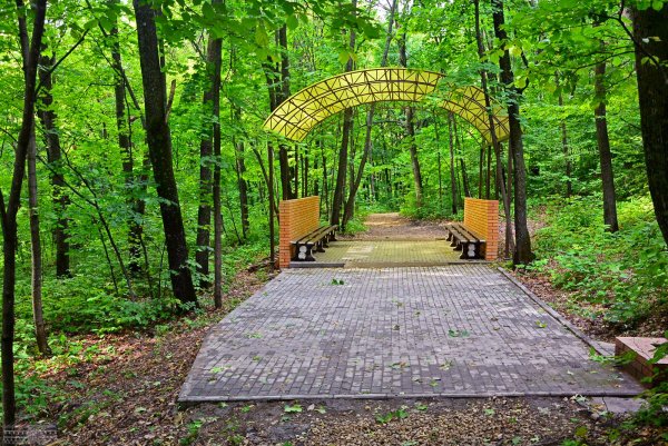 Хвалынский национальный парк Саратовская область