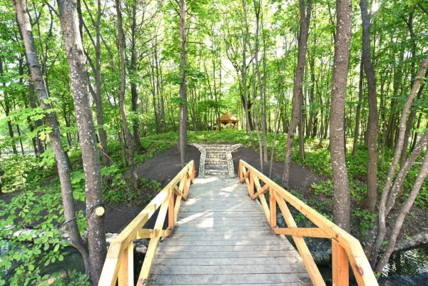 Парк отель Хвалынский Черемшаны