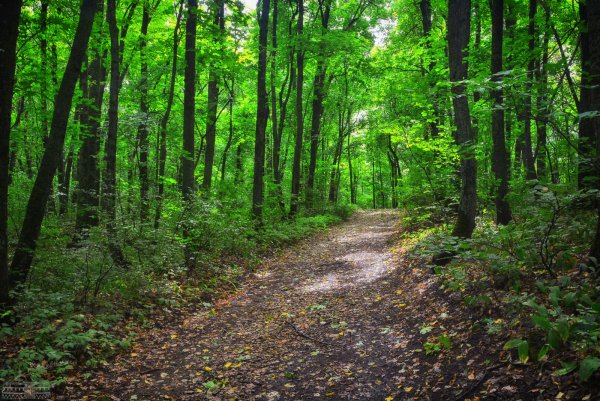 Хвалынский национальный парк Саратовская область
