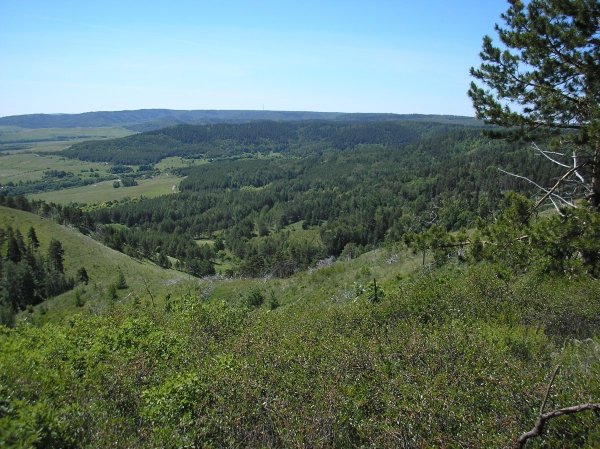 Хвалынский национальный парк