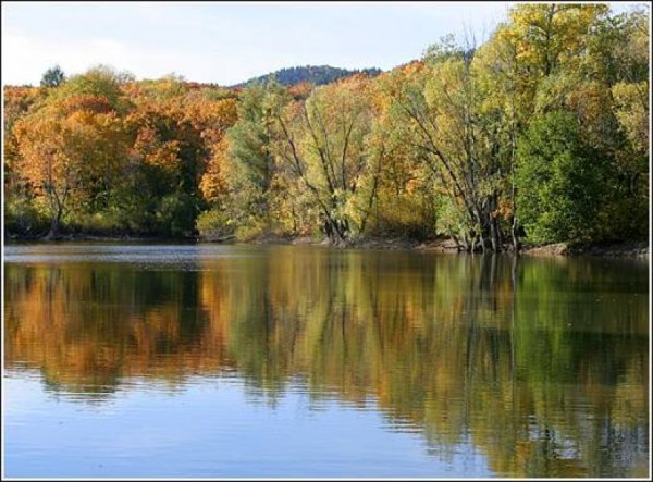 Хвалынский заповедник Саратовской области