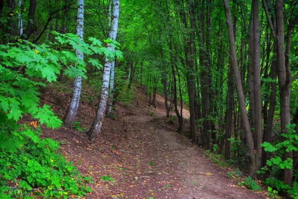 Хвалынский национальный парк