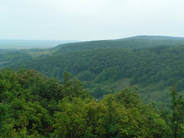 Кудеярова гора Саратовская область