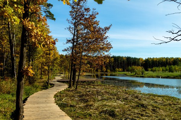 Мещерский парк Москва