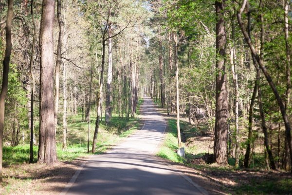 Мещерский лесопарк