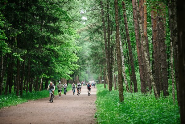 Мещерский лесопарк Москва