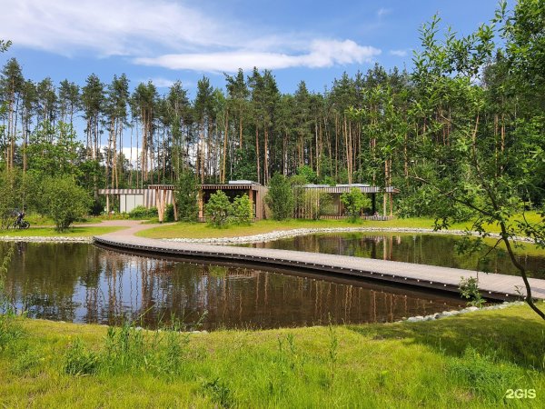 Мещерский лесопарк