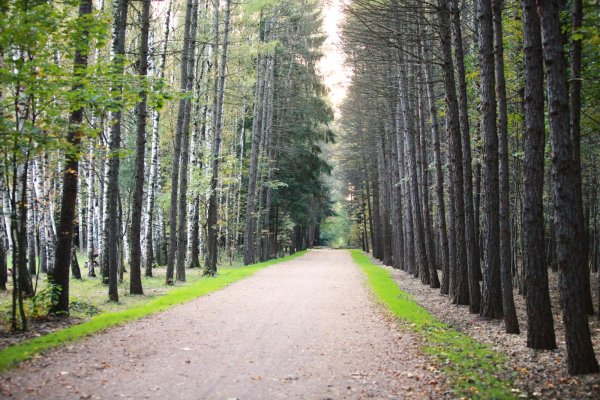 Мещерский парк Москва