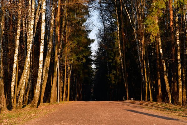 Мещёрский национальный парк Москва