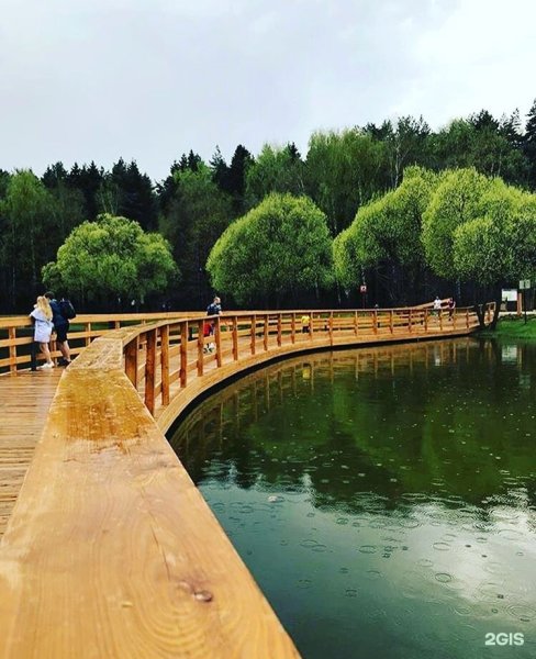 Мещерский лес лесопарк