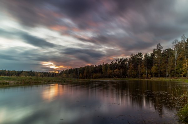 Мещёрский национальный парк Москва