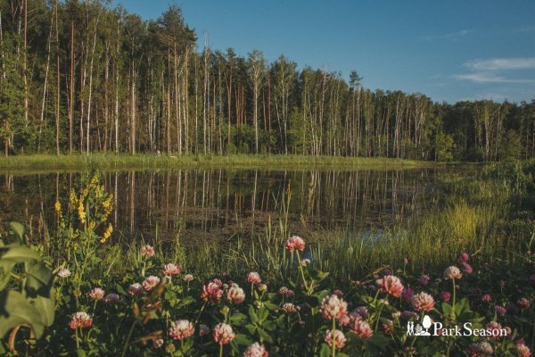Мещерский парк Центральная Поляна