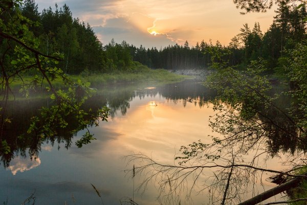 Парк Мещера во Владимирской области