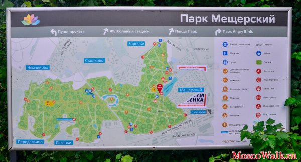 Мещерский парк пикниковая зона