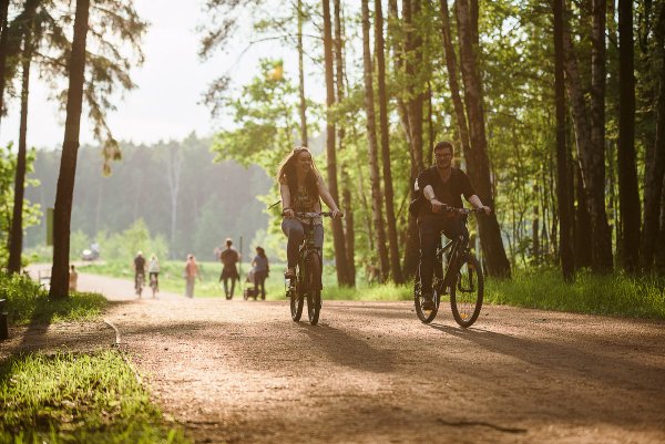 Мещерский лес лесопарк