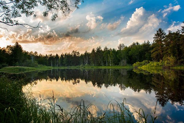 Мещёра (национальный парк) летом