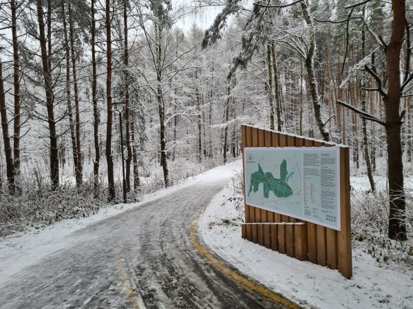 Мещерский лес парк