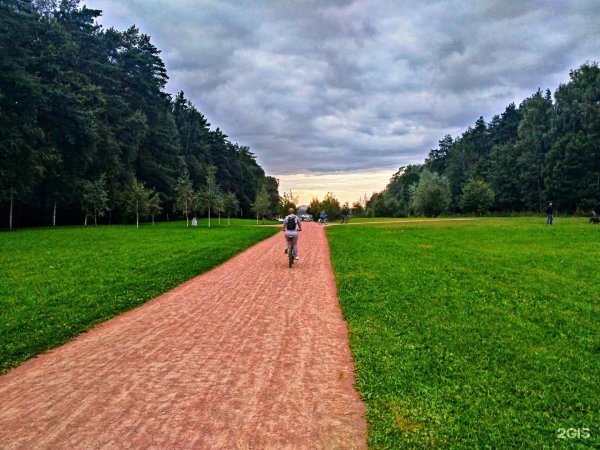 Мещерский лес парк