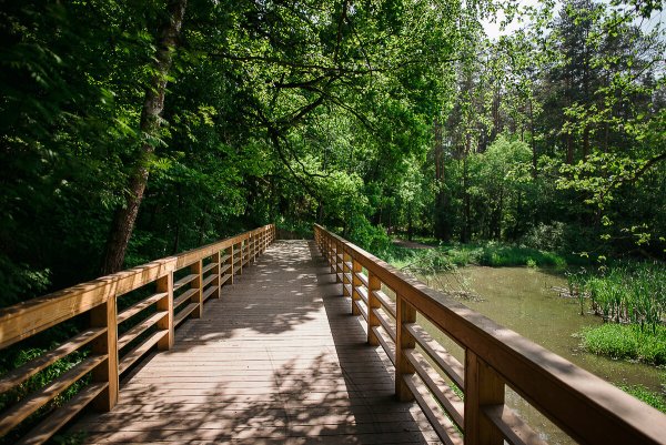 Мещерский лесопарк