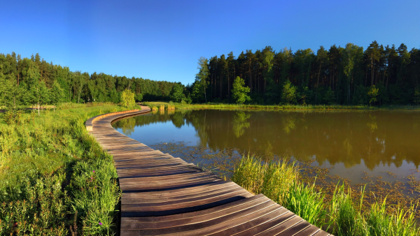 Мещерский парк Москва