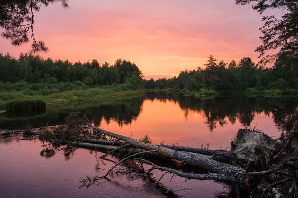 Рязанская область, Окский заповедник, река пра.