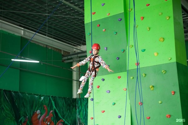 Веревочный парк джунгли Барнаул