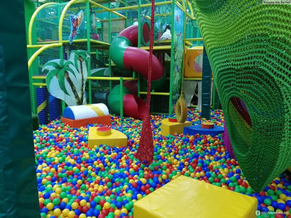 Л Сити Липецк джунгли