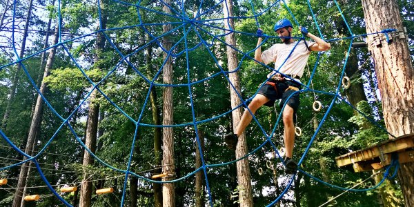 Дикие джунгли парк