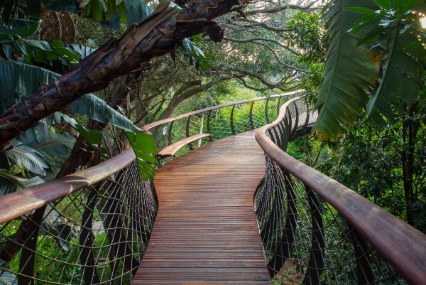 Подвесная дорога в Кирстенбош