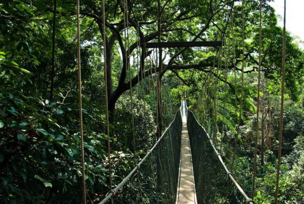 Таман Негара Малайзия