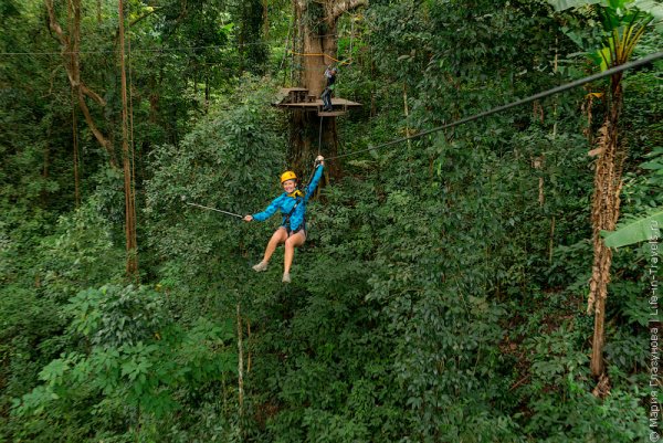 Полет гиббона Камбоджа
