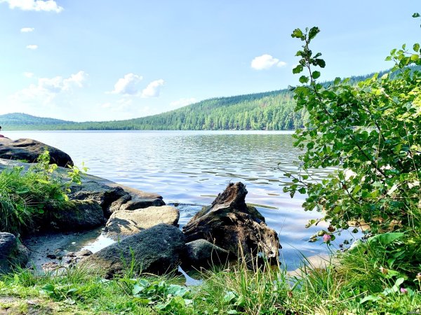 Ильменский заповедник каменная река