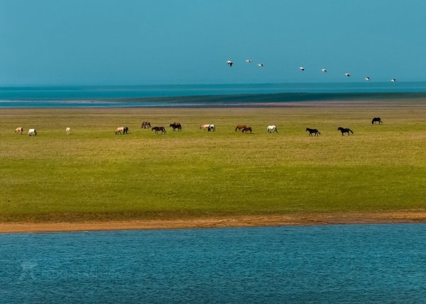 Река Маныч Ростовская область