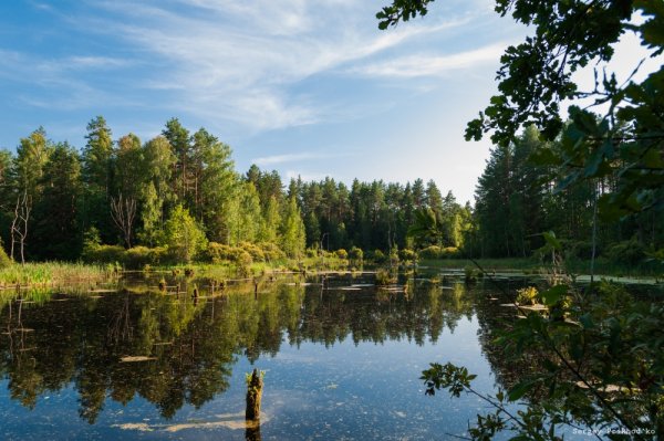 Вартемяги озеро