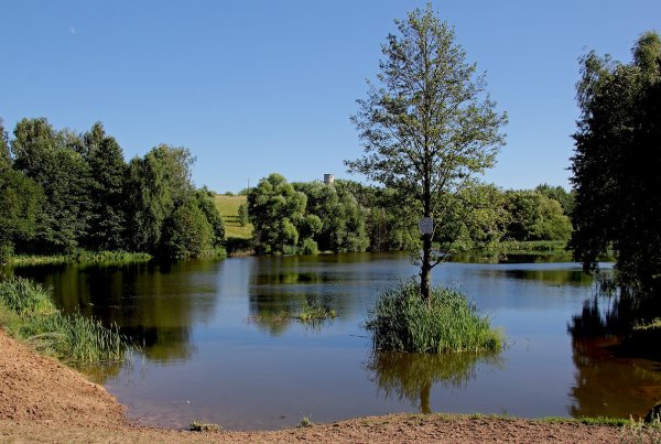 Пруды Брянской области
