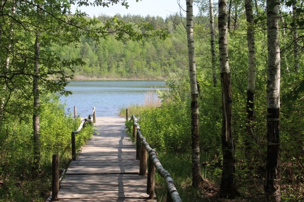 Круглое озеро Фокино