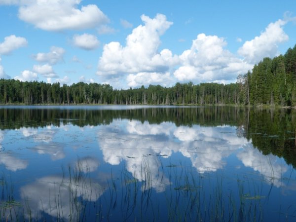 Святое озеро Брянск Жуковка