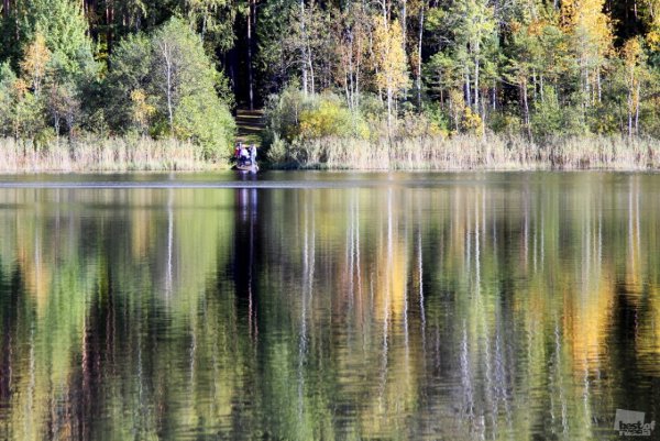 Озеро круглое Фокино Брянская