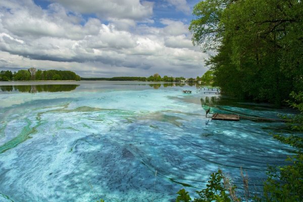Бытошь Брянская область озеро