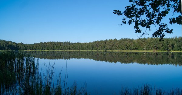 Жерино озеро Трубчевск