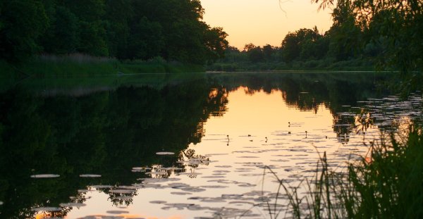 Озеро Боровень Брянская область