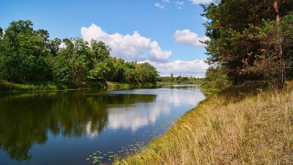 Озеро Боровень Брянская область