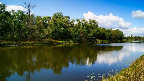 Озеро Бечино Брянская область