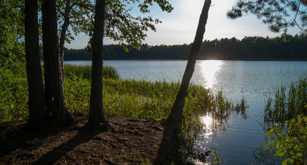 Жеринское озеро Брянская область