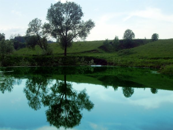 Толмачево Брянская область