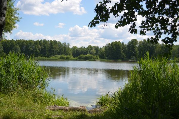 Белые берега Брянская область